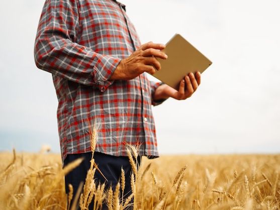 Programy wsparcia dla rolników w ramach funduszy unijnych – jak skorzystać i zwiększyć konkurencyjność gospodarstwa?